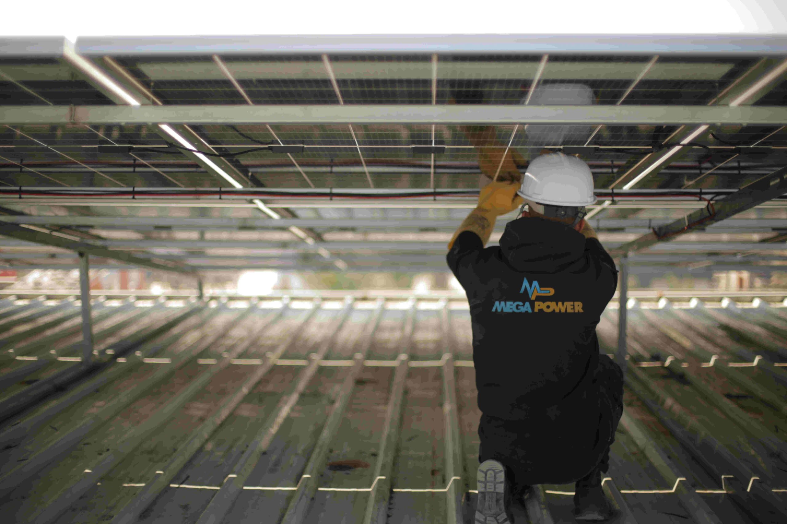  Strategic and project-level consulting